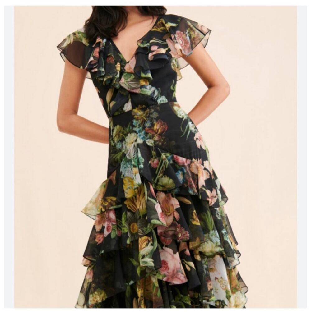 Anthropologie/Pankaj & Nidhi Floral Chiffon Ruffle Maxi Dress Size Medium